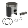 SPX SNOWMOBILE PISTON (09 - 603) - DRIVEN Canada's Powersports 68257701779909 - 603