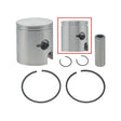 SPX SNOWMOBILE PISTON (09 - 666 - 01N) - DRIVEN Canada's Powersports 09 - 666 - 01N