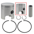 SPX SNOWMOBILE PISTON (09 - 667N) - DRIVEN Canada's Powersports 68257701721809 - 667N