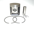 SPX SNOWMOBILE PISTON (09 - 694) - DRIVEN Canada's Powersports 68257701765209 - 694