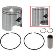 SPX SNOWMOBILE PISTON (09 - 699N) - DRIVEN Canada's Powersports 68257701769009 - 699N