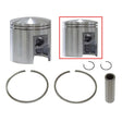 SPX SNOWMOBILE PISTON (09 - 746N) - DRIVEN Canada's Powersports 68257701839009 - 746N