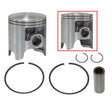 SPX SNOWMOBILE PISTON (09 - 807N) - DRIVEN Canada's Powersports 68257702025609 - 807N