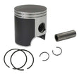 SPX SNOWMOBILE PISTON (SM - 09163) - DRIVEN Canada's Powersports 682577017898SM - 09163
