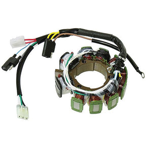 SPX STATOR (SM - 01362) - DRIVEN Canada's Powersports 682577029198SM - 01362
