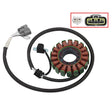 SPX STATOR (SM - 01389) - DRIVEN Canada's Powersports SM - 01389