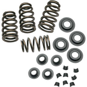 S&S CYCLE 84 - 04 B/T .650" VALVE SPR KIT - Driven Powersports Inc.900 - 0050