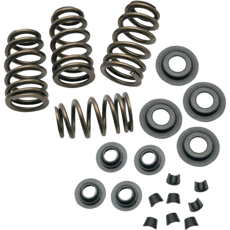 S&S CYCLE 84 - 04 B/T .650" VALVE SPR KIT - Driven Powersports Inc.900 - 0050