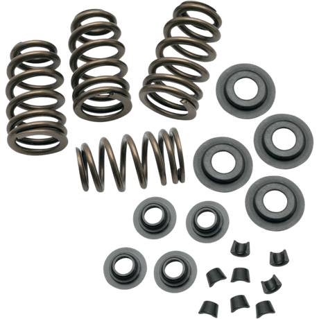 S&S CYCLE 84 - 04 B/T .650" VALVE SPR KIT - Driven Powersports Inc.900 - 0050