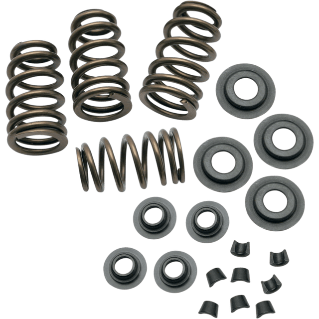 S&S CYCLE 84 - 04 B/T .650" VALVE SPR KIT - Driven Powersports Inc.900 - 0050