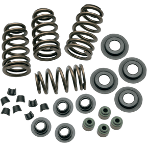 S&S CYCLE SPRINGS VLV .650" 05 - 17 TC - Driven Powersports Inc.106 - 5909