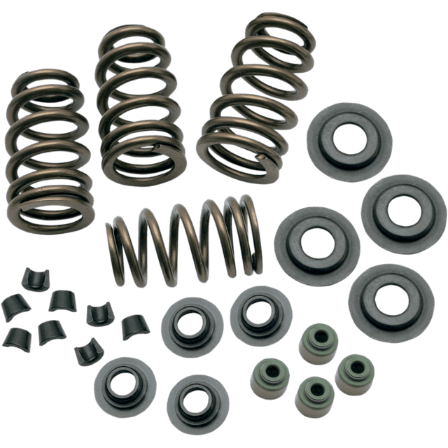 S&S CYCLE SPRINGS VLV .650" 05 - 17 TC - Driven Powersports Inc.106 - 5909