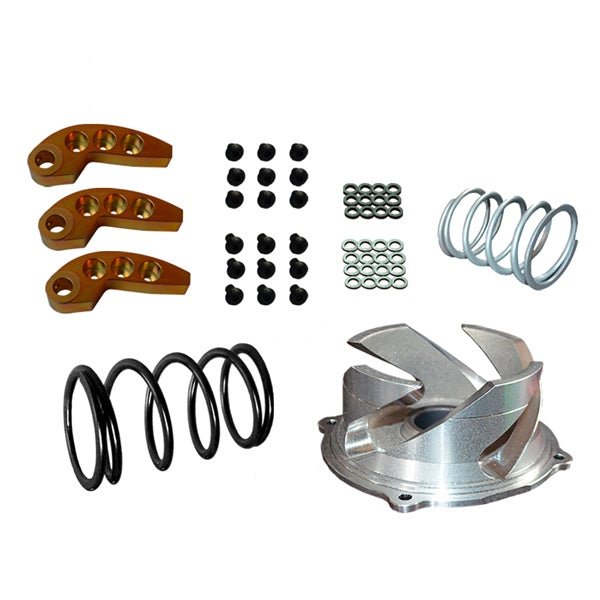 STRAIGHTLINE PERFORMANCE CLUTCH KIT WITH ADJUSTABLE WEIGHT (123 - 160) - Driven Powersports Inc.00810080587960123 - 160
