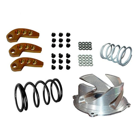 STRAIGHTLINE PERFORMANCE CLUTCH KIT WITH ADJUSTABLE WEIGHT (123 - 160) - Driven Powersports Inc.00810080587960123 - 160