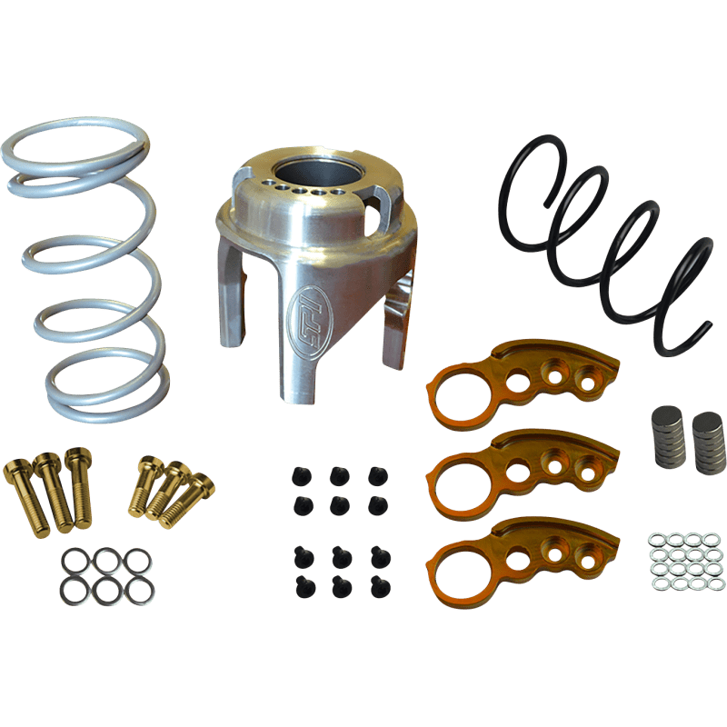 STRAIGHTLINE PERFORMANCE CLUTCH KIT WITH ADJUSTABLE WEIGHT (121 - 250) - Driven Powersports Inc.00810080585140121 - 250