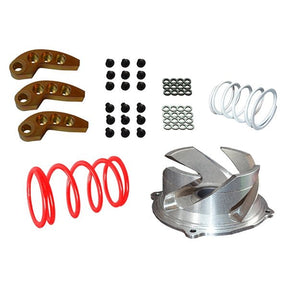 STRAIGHTLINE PERFORMANCE CLUTCH KIT (123 - 166) - Driven Powersports Inc.00810080588738123 - 166