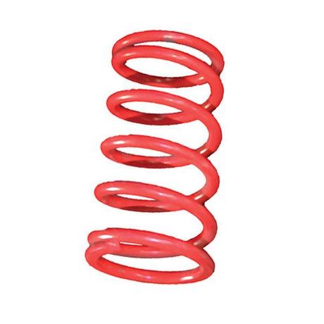 STRAIGHTLINE PERFORMANCE PRIMARY SPRING - DRIVEN Canada's Powersports 810080584426121 - 142