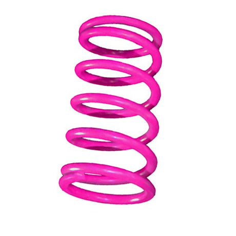 STRAIGHTLINE PERFORMANCE PRIMARY SPRING - DRIVEN Canada's Powersports 810080584471121 - 147