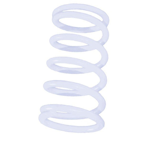 STRAIGHTLINE PERFORMANCE PRIMARY SPRING - DRIVEN Canada's Powersports 810080584471121 - 147