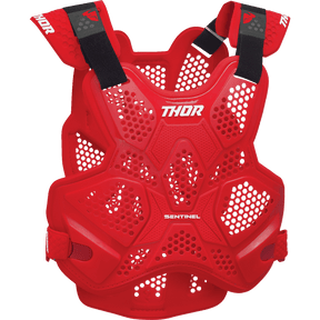 THOR GURD SENTNEL LTD - Driven Powersports Inc.2701 - 12052701 - 1205