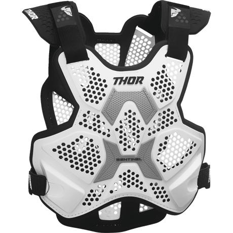 THOR GURD SENTNEL LTD - Driven Powersports Inc.2701 - 12112701 - 1211