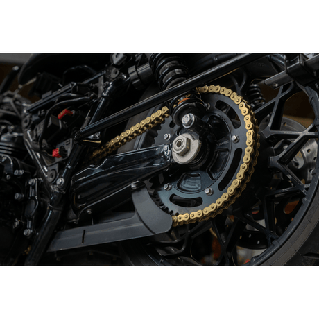 TRASK 09 - 19 FLHT CUSH STYLE CHAIN CONVERSION (TM - 2901) - DRIVEN Canada's Powersports TM - 2901