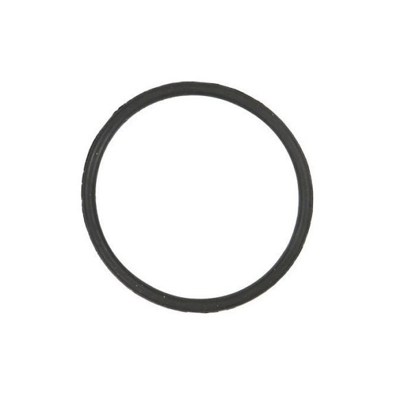 TUFFJUGS JUG CAP SEAL L - Driven Powersports