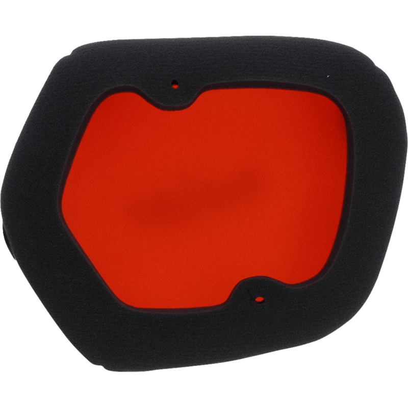 TWIN AIR PERFORMANCE AIR FILTER (154225) - DRIVEN Canada's Powersports 154225