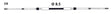 Uflex Universal 33C Control Cable C8 - DRIVEN Canada's Powersports 702755012955C8X20