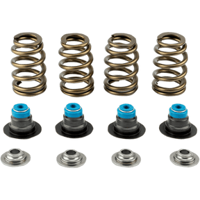 V - THUNDER 05 - 17 TC SPRING KIT .585 W/TOOL - Driven Powersports Inc.365843219419713 - KIT
