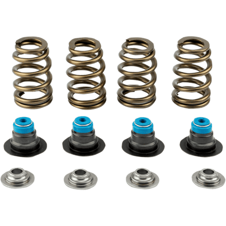 V - THUNDER 05 - 17 TC SPRING KIT .585 W/TOOL - Driven Powersports Inc.365843219419713 - KIT