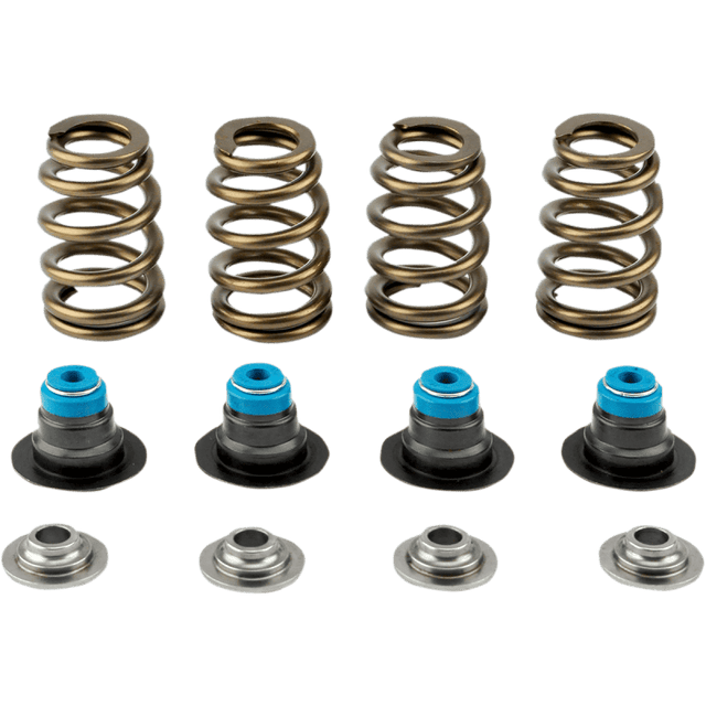 V - THUNDER 05 - 17 TC SPRING KIT .585 W/TOOL - Driven Powersports Inc.365843219419713 - KIT