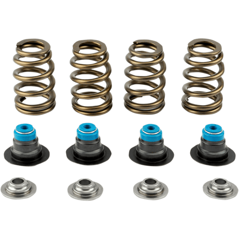 V - THUNDER 05 - 17 TC SPRING KIT .585 W/TOOL - Driven Powersports Inc.365843219419713 - KIT