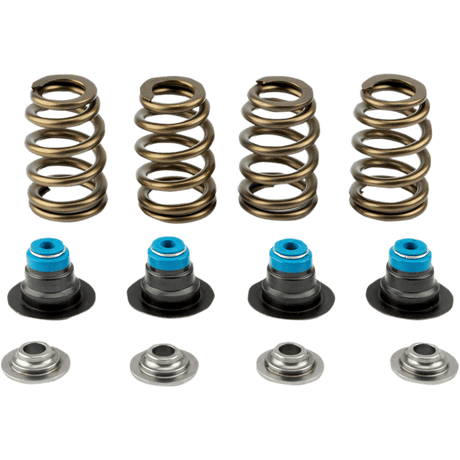 V - THUNDER 05 - 17 TC SPRING KIT .585 W/TOOL - Driven Powersports Inc.365843219419713 - KIT