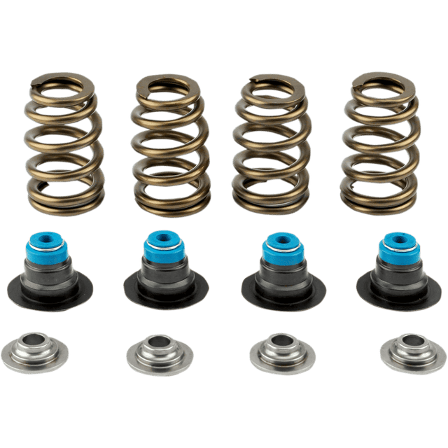 V - THUNDER 05 - 17 TC SPRING KIT .585 W/TOOL - Driven Powersports Inc.365843219419713 - KIT