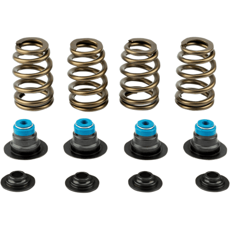 V - THUNDER SPRING KIT .585 TC 05 - 17 - Driven Powersports Inc.365843219589714 - KIT