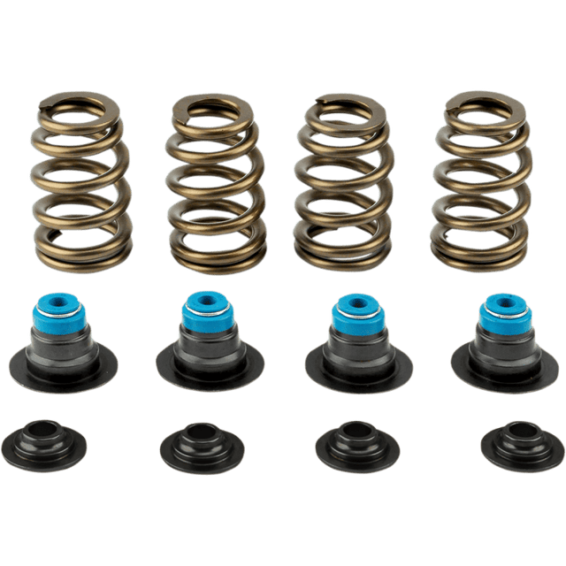 V - THUNDER SPRING KIT .585 TC 05 - 17 - Driven Powersports Inc.365843219589714 - KIT