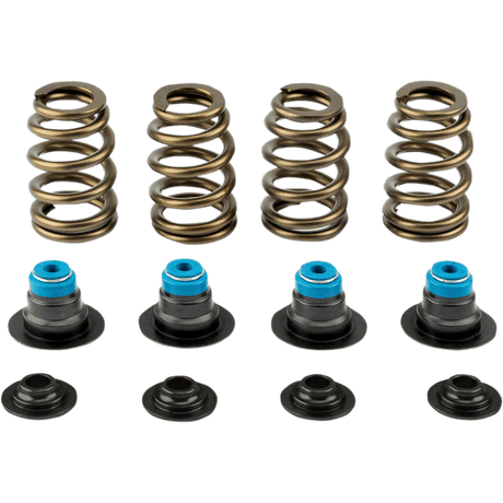 V - THUNDER SPRING KIT .585 TC 05 - 17 - Driven Powersports Inc.365843219589714 - KIT