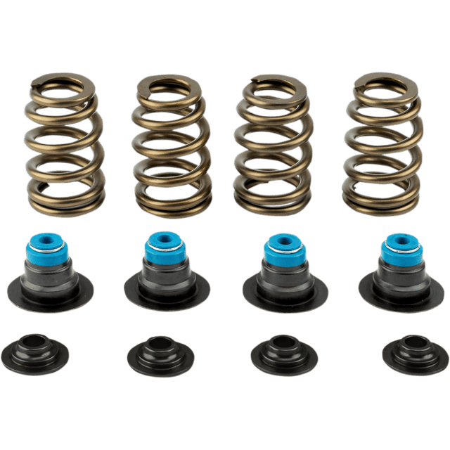 V - THUNDER SPRING KIT .585 TC 05 - 17 - Driven Powersports Inc.365843219589714 - KIT