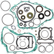 VERTEX COMPLETE GASKET KIT WITH OIL SEALS - Driven Powersports Inc.714205818611811861