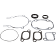 VERTEX GASKET - SET - OIL - SEALS - 7111950 - Driven Powersports Inc.7111950