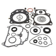 VERTEX COMPLETE GASKET KIT WITH OIL SEALS (8110025) - Driven Powersports Inc.81100258110025