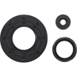 VERTEX OIL SEAL KIT (55217) - Driven Powersports Inc.71420555217155217