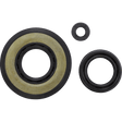 VERTEX OIL SEAL KIT (55170) - Driven Powersports Inc.5517055170