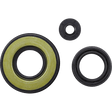VERTEX OIL SEAL KIT (55199) - Driven Powersports Inc.5519955199