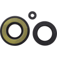 VERTEX OIL SEAL KIT (55221) - Driven Powersports Inc.5522155221