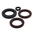 VERTEX ENGINE OIL SEAL KIT (622206) - Driven Powersports Inc.714205001167622206