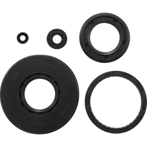 VERTEX OIL SEAL KIT (55197) - DRIVEN Canada's Powersports 5519755197