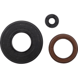 VERTEX OIL SEAL KIT (55225) - Driven Powersports Inc.5522555225