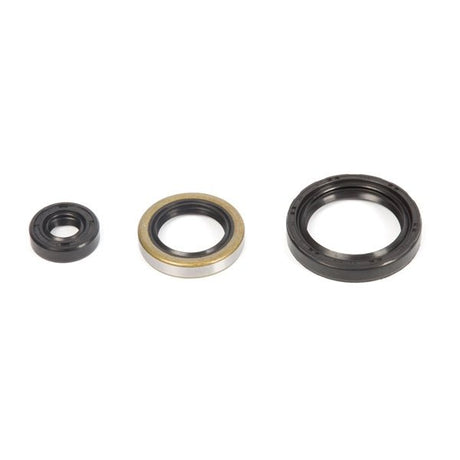 VERTEX OIL SEAL KIT (822143) - Driven Powersports Inc.822143822143